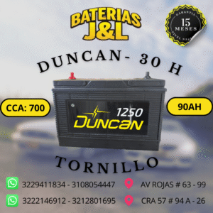 BATERÍA DUNCAN CAJA 30H 1250 AMP (TORNILLO)